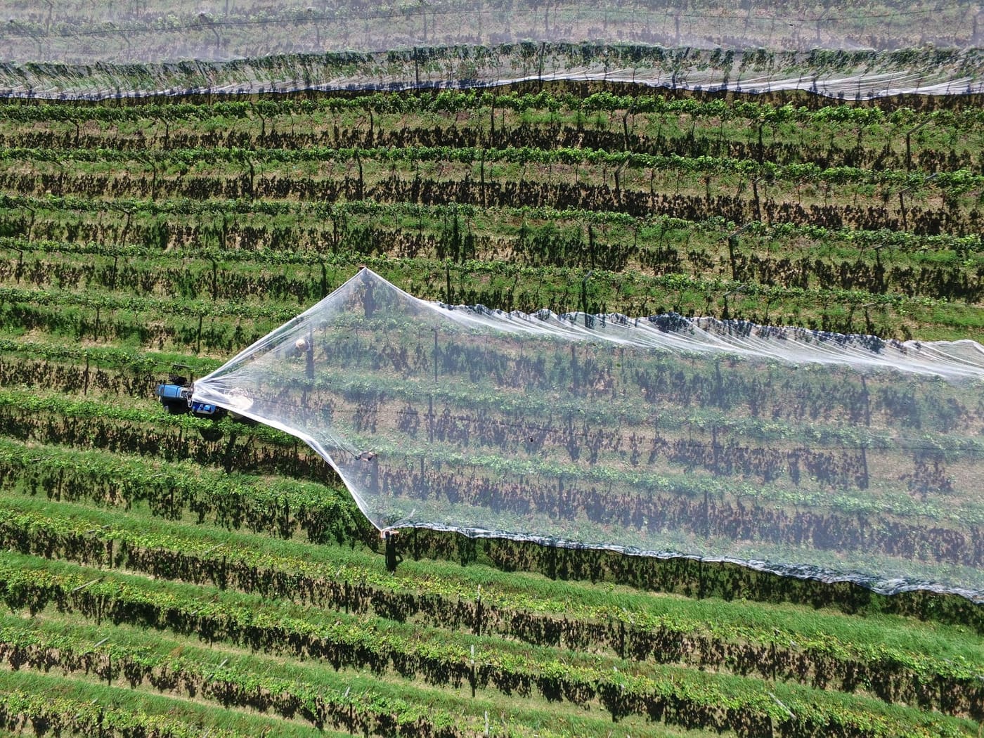 Drone survolant un vignoble en France.