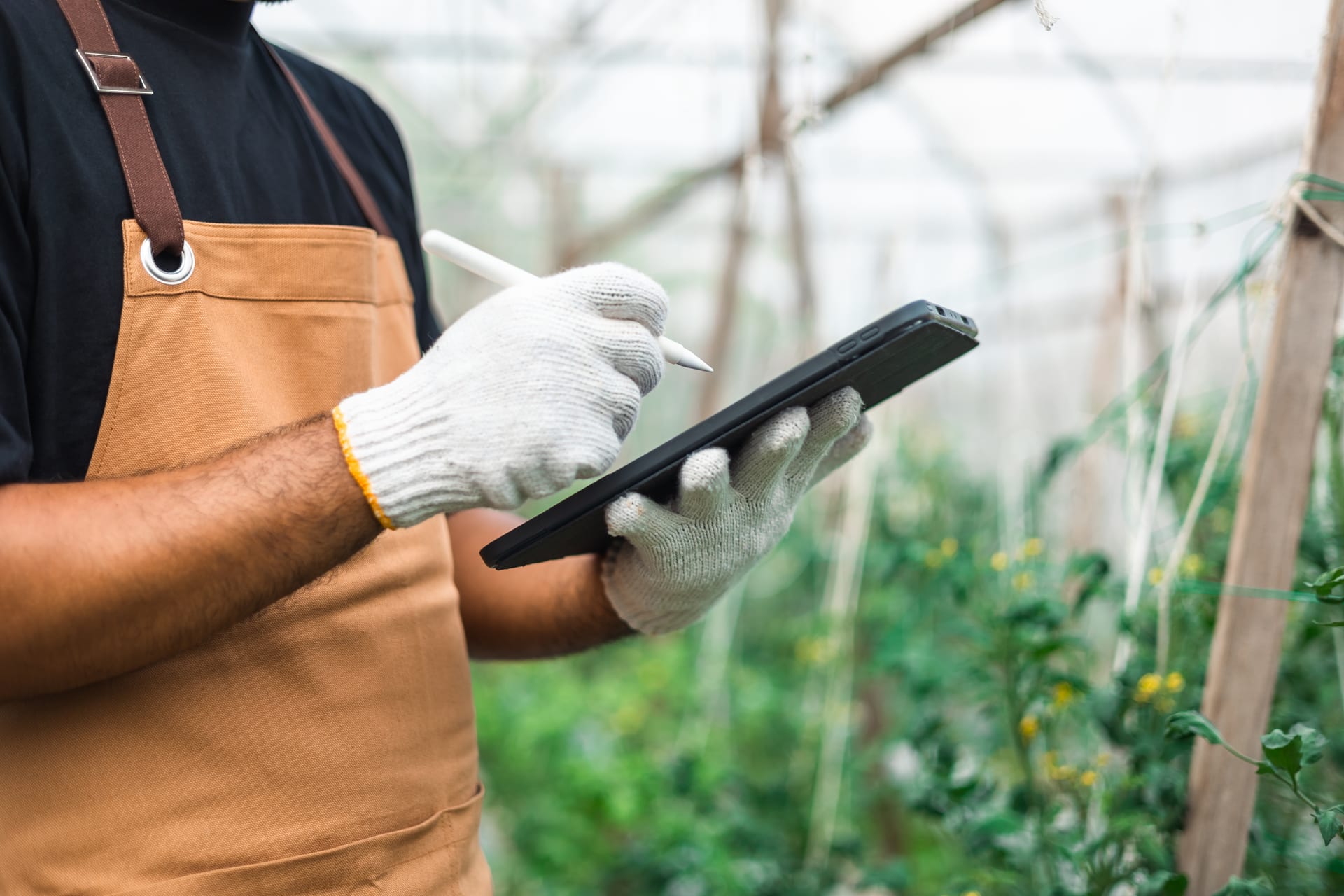 Avenir de l'agriculture avec l'IA en France.
