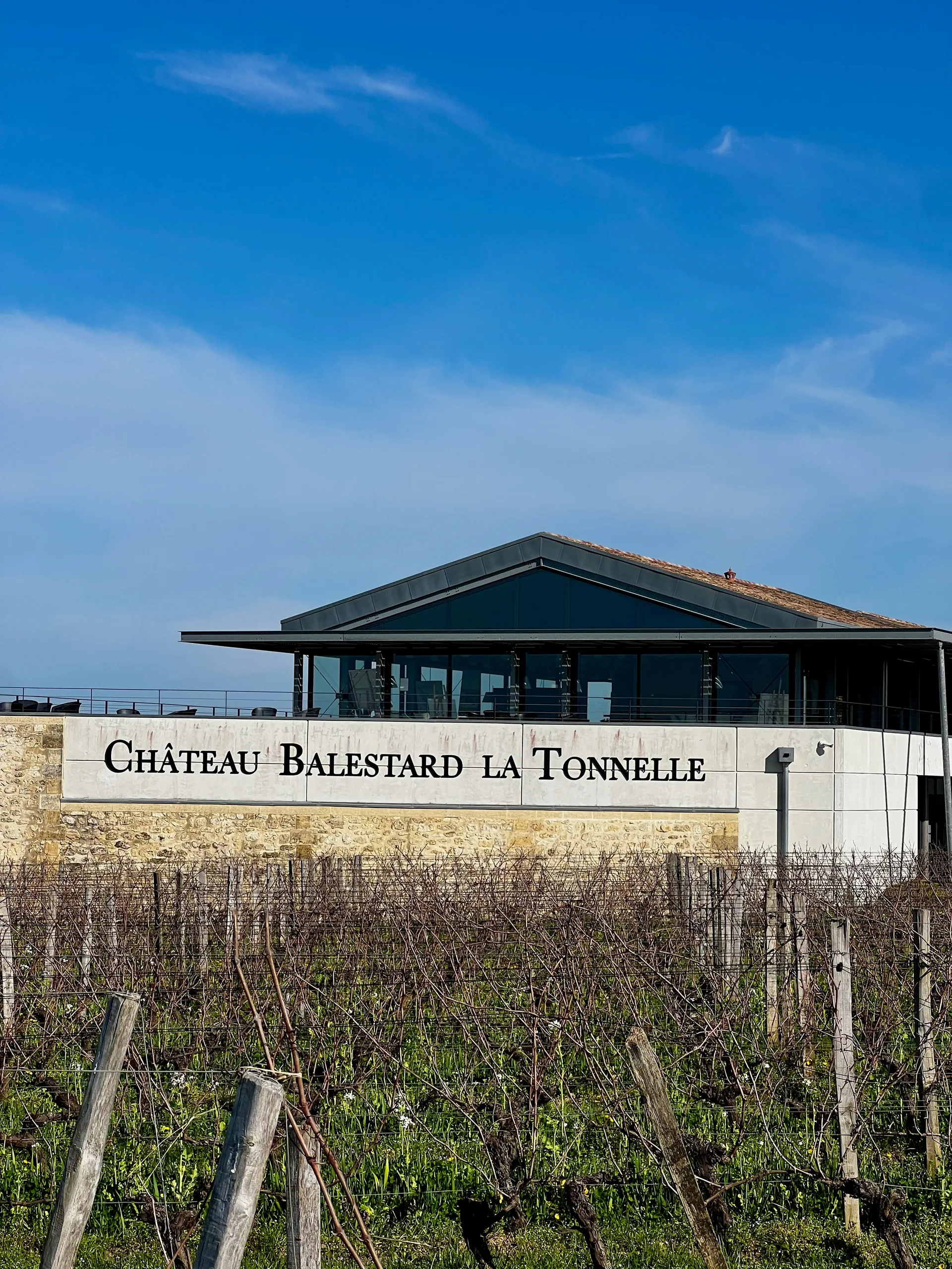 Rangs de vignes du vignoble bordelais avec un château viticole en arrière-plan